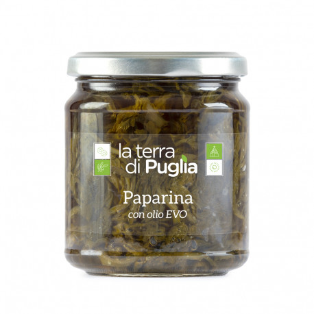 paparina verdura selvatica del salento - Laterradipuglia.it