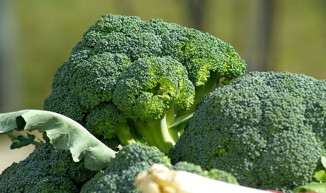 come eliminare l'odore dei broccoli - Myitalian.recipes